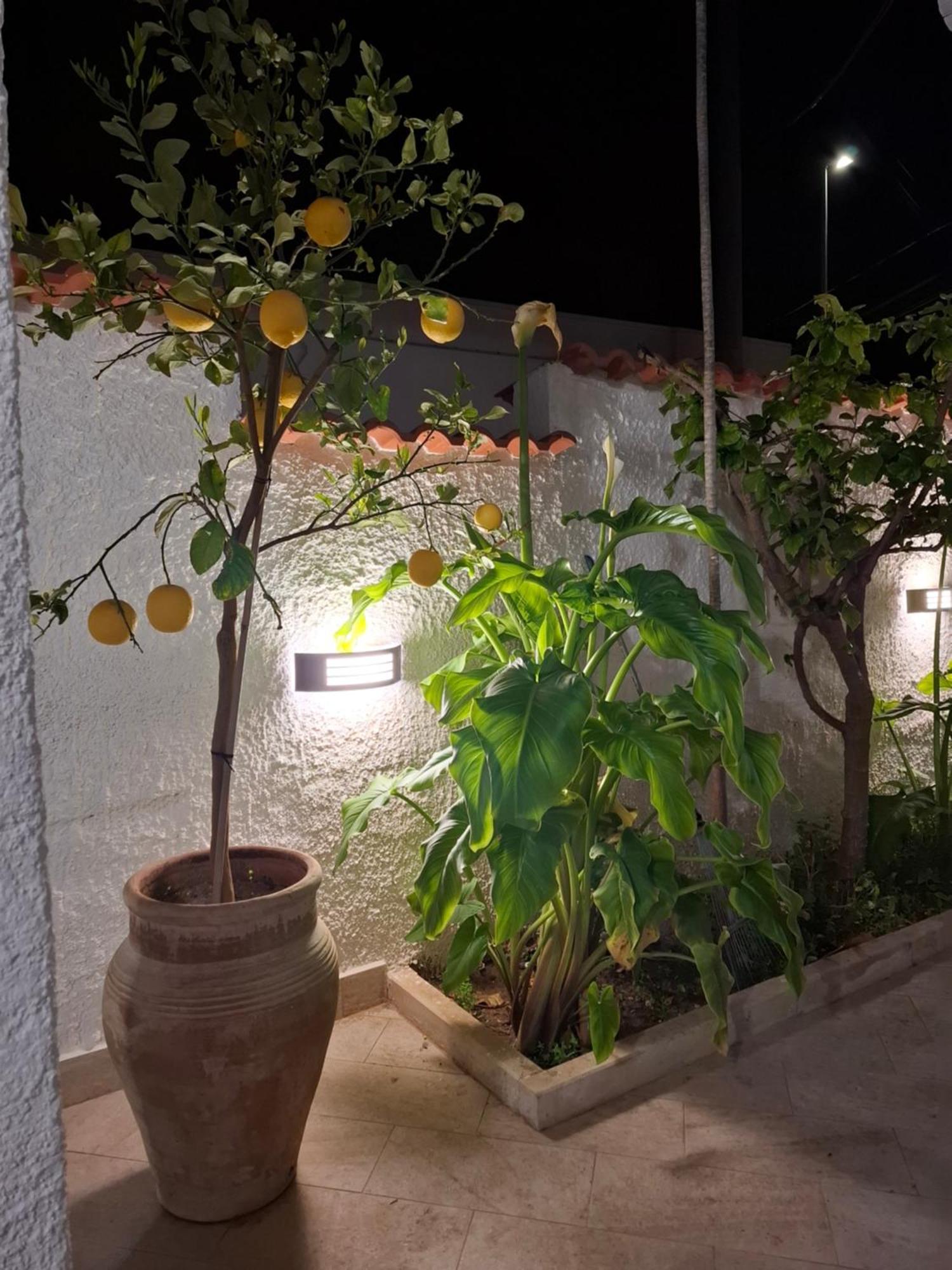 Toluammare Sicily Villa Santa Maria Del Focallo Buitenkant foto