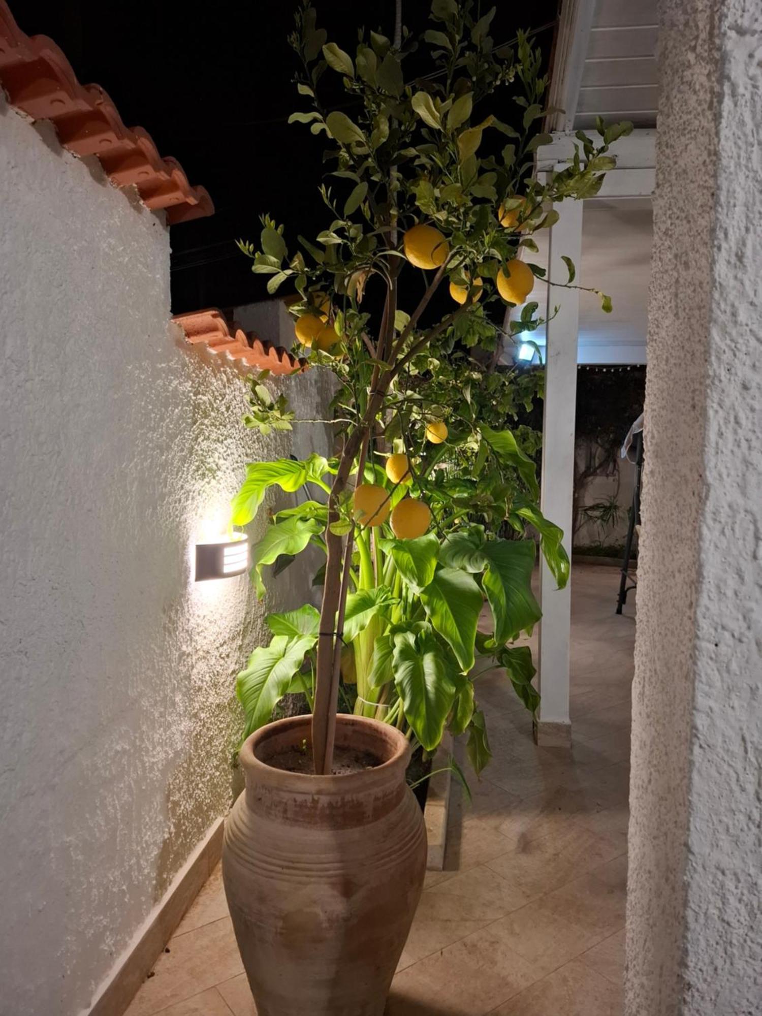 Toluammare Sicily Villa Santa Maria Del Focallo Buitenkant foto